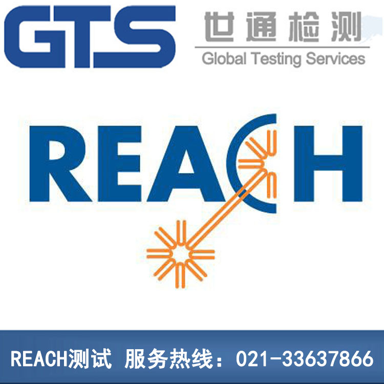 REACHyԇ