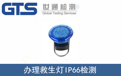 IP66zy